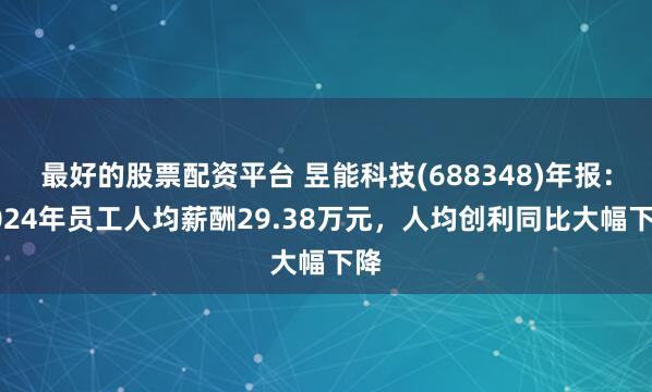 最好的股票配资平台 昱能科技(688348)年报：2024年员工人均薪酬29.38万元，人均创利同比大幅下降