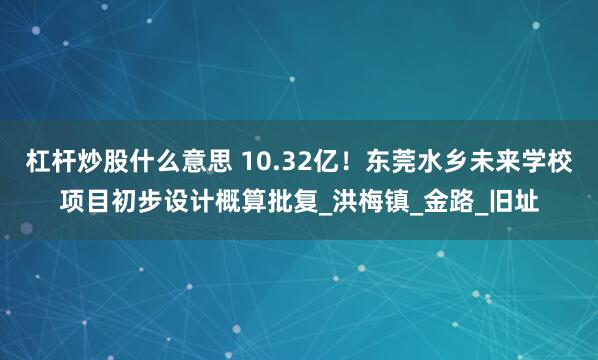 杠杆炒股什么意思 10.32亿！东莞水乡未来学校项目初步设计概算批复_洪梅镇_金路_旧址