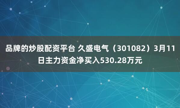 品牌的炒股配资平台 久盛电气（301082）3月11日主力资金净买入530.28万元