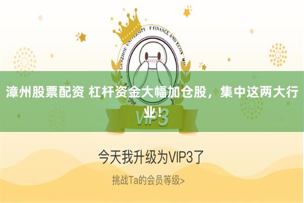 漳州股票配资 杠杆资金大幅加仓股，集中这两大行业！