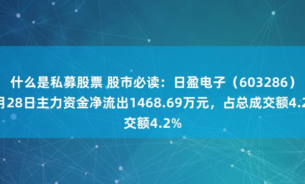 什么是私募股票 股市必读：日盈电子（603286）7月28日主力资金净流出1468.69万元，占总成交额4.2%