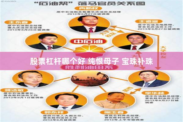 股票杠杆哪个好 纯恨母子 宝珠补珠