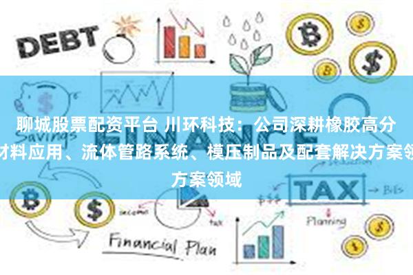 聊城股票配资平台 川环科技:公司深耕橡胶高分子材料应用、流体管路系统、模压制品及配套解决方案领域